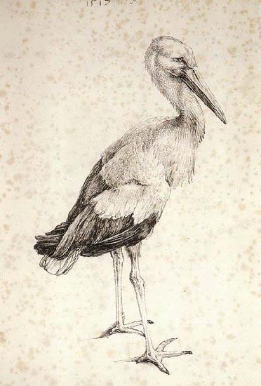 Albrecht Durer The Stork oil painting picture